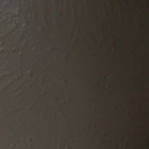 Meet your Posher, China